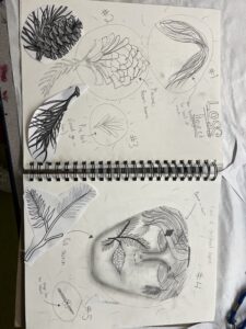 IMG-2645-3
