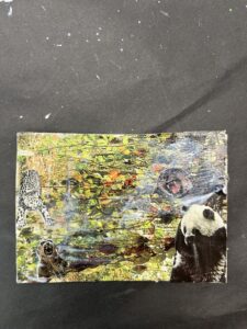 IMG-3431-3