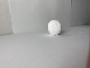 IMG-4331