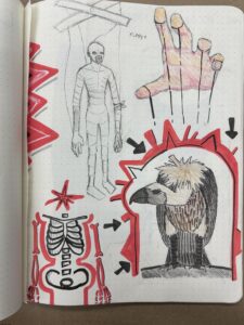 vulture