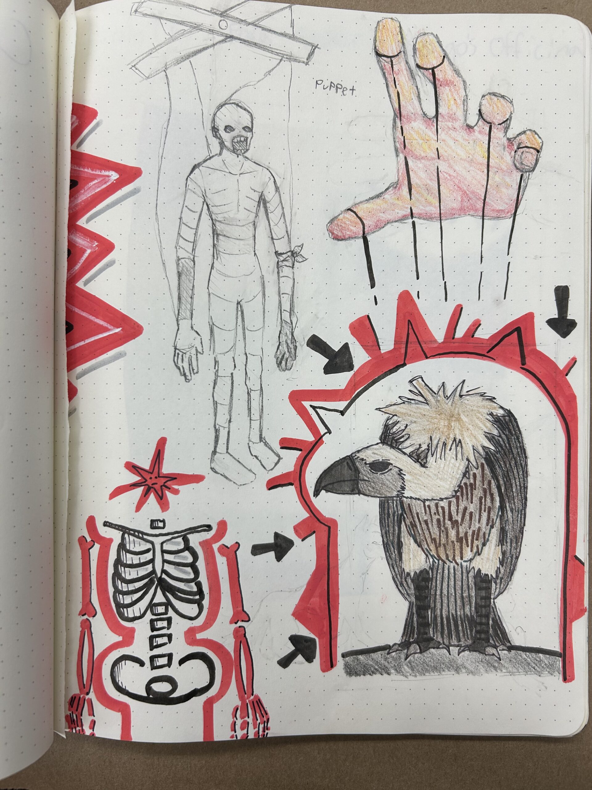 vulture